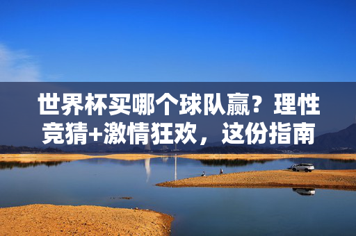 世界杯买哪个球队赢？理性竞猜+激情狂欢，这份指南助你智选赢家，世界杯智选赢家，理性竞猜指南