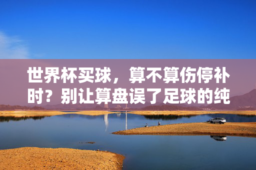 世界杯买球，算不算伤停补时？别让算盘误了足球的纯粹，世界杯买球，莫让算盘误足球纯粹