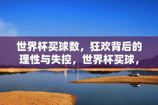 世界杯买球数，狂欢背后的理性与失控，世界杯买球，狂欢背后的理性与失控
