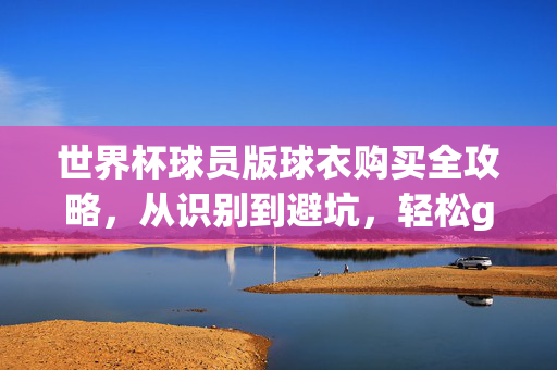 世界杯球员版球衣购买全攻略,从识别到避坑,轻松get球星同款,世界杯球员版球衣购买全攻略,识别避坑,轻松get球星同款