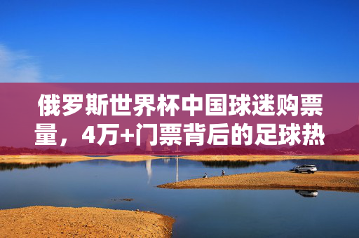 俄罗斯世界杯中国球迷购票量，4万+门票背后的足球热情与市场潜力，4万+门票背后，中国球迷足球热情与市场潜力
