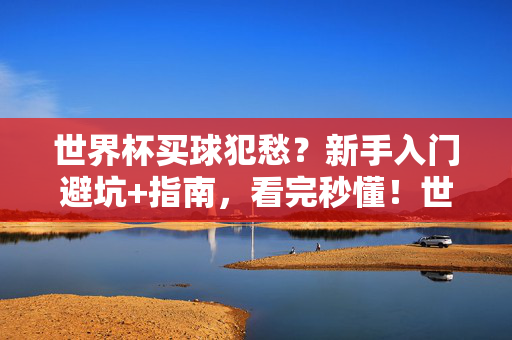 世界杯买球犯愁？新手入门避坑+指南，看完秒懂！世界杯买球新手必看！避坑指南，秒懂入门