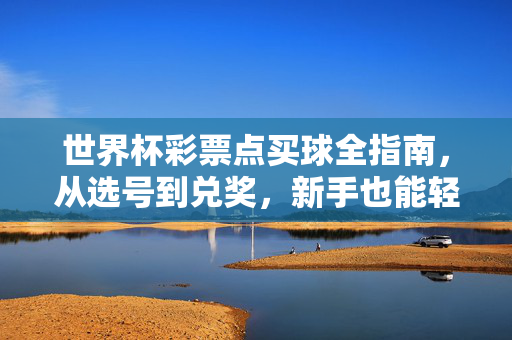 世界杯彩票点买球全指南，从选号到兑奖，新手也能轻松上手，世界杯彩票新手全指南，从选号到兑奖轻松上手