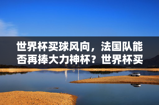 世界杯买球风向，法国队能否再捧大力神杯？世界杯买球风向，法国队再捧大力神杯？