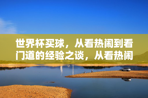 世界杯买球,从看热闹到看门道的经验之谈,从看热闹到看门道,世界杯买球经验谈