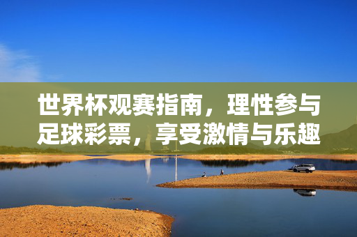 世界杯观赛指南，理性参与足球彩票，享受激情与乐趣，世界杯观赛指南，理性购彩，乐享激情与乐趣