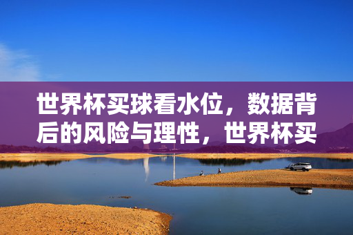 世界杯买球看水位,数据背后的风险与理性,世界杯买球,水位数据里的风险与理性