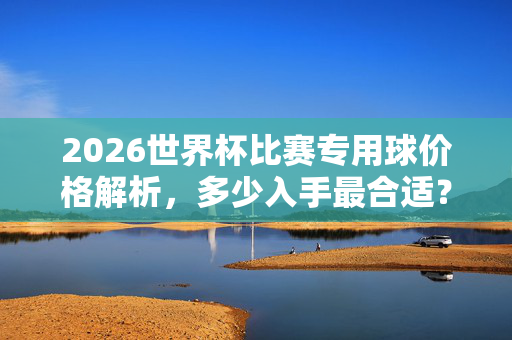 2026世界杯比赛专用球价格解析，多少入手最合适？2026世界杯专用球价格解析，多少入手最合适？