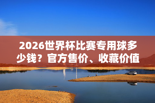2026世界杯比赛专用球多少钱?官方售价、收藏价值与购买指南,2026世界杯比赛专用球,官方售价、收藏价值与购买指南