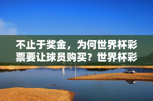 不止于奖金，为何世界杯彩票要让球员购买？世界杯彩票让球员购买，不止为奖金？
