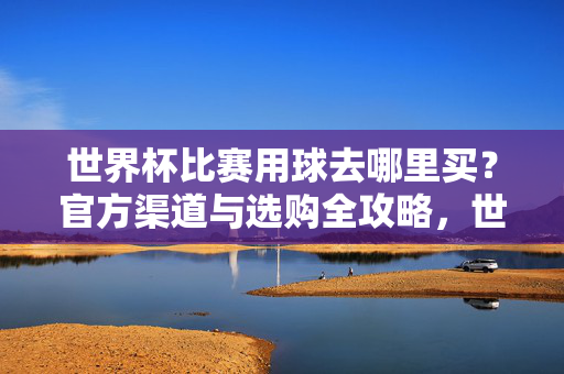 世界杯比赛用球去哪里买？官方渠道与选购全攻略，世界杯比赛用球官方购买渠道与选购全攻略