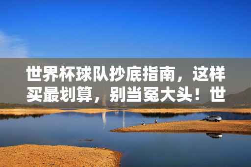 世界杯球队抄底指南,这样买最划算,别当冤大头!世界杯球队抄底指南,这样买最划算,不当冤大头!