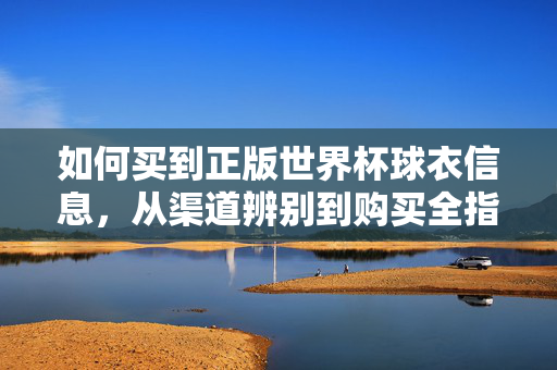 如何买到正版世界杯球衣信息，从渠道辨别到购买全指南，正版世界杯球衣选购全指南，从渠道辨别到购买