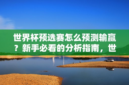 世界杯预选赛怎么预测输赢?新手必看的分析指南,世界杯预选赛预测输赢,新手必看分析指南