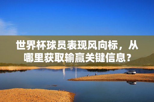 世界杯球员表现风向标,从哪里获取输赢关键信息?