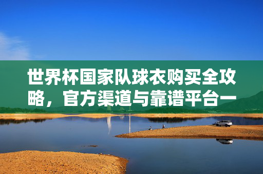世界杯国家队球衣购买全攻略,官方渠道与靠谱平台一文看尽,世界杯国家队球衣购买全攻略,官方渠道与靠谱平台