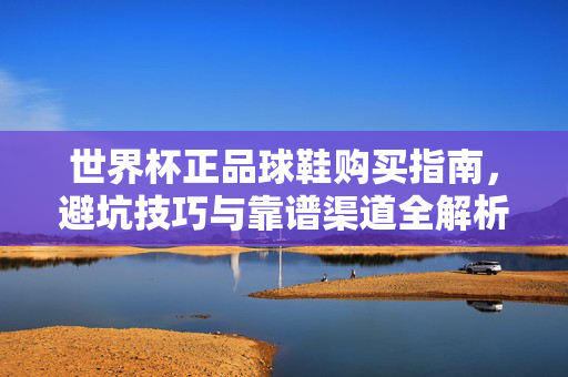 世界杯正品球鞋购买指南，避坑技巧与靠谱渠道全解析，世界杯正品球鞋选购全攻略，避坑技巧与靠谱渠道