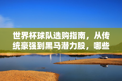 世界杯球队选购指南,从传统豪强到黑马潜力股,哪些值得你下单?世界杯球队选购指南,从传统豪强到黑马,哪些值得入手?