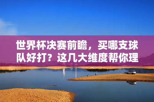 世界杯决赛前瞻,买哪支球队好打?这几大维度帮你理性抉择!世界杯决赛球队选择,理性抉择的几大维度