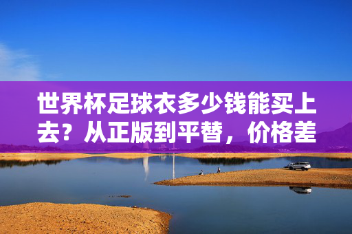 世界杯足球衣多少钱能买上去?从正版到平替,价格差异与选购指南,世界杯足球衣,正版到平替价格差异与选购指南