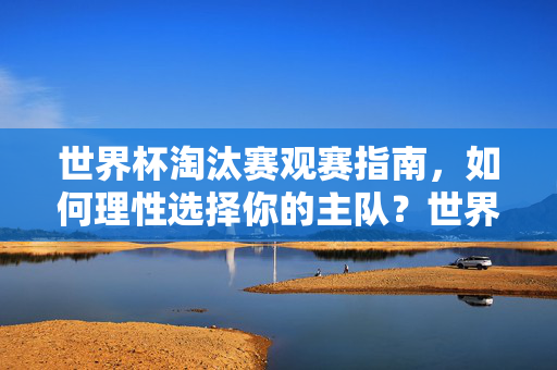 世界杯淘汰赛观赛指南,如何理性选择你的主队?世界杯淘汰赛观赛指南,理性选择主队