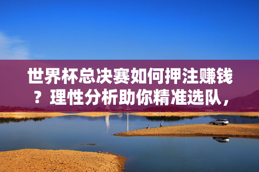 世界杯总决赛如何押注赚钱?理性分析助你精准选队,世界杯总决赛押注赚钱,理性分析精准选队