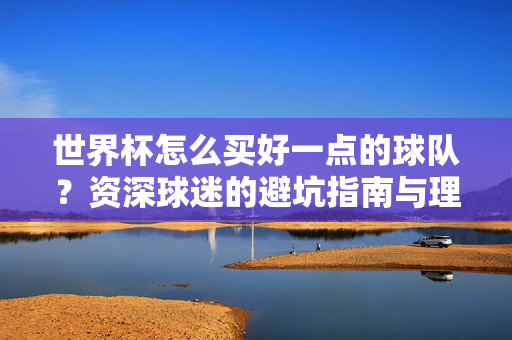世界杯怎么买好一点的球队?资深球迷的避坑指南与理性分析,世界杯选球队,资深球迷的避坑指南与理性分析