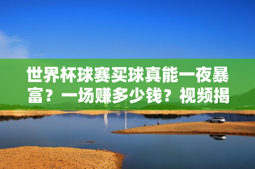 世界杯球赛买球真能一夜暴富？一场赚多少钱？视频揭秘背后真相，世界杯买球真能一夜暴富？一场赚多少？真相揭秘
