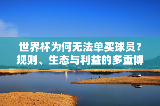 世界杯为何无法单买球员?规则、生态与利益的多重博弈,世界杯为何无法单买球员?规则、生态与利益的多重博弈
