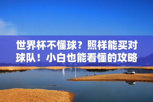 世界杯不懂球？照样能买对球队！小白也能看懂的攻略，世界杯小白攻略，不懂球也能轻松买对球队！