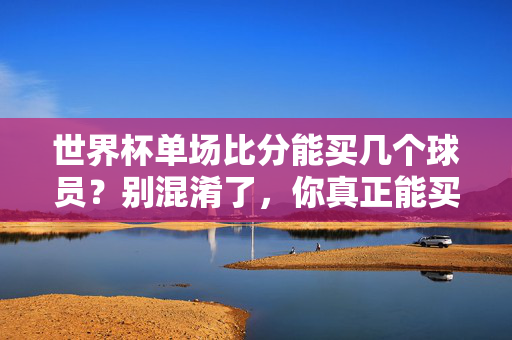 世界杯单场比分能买几个球员？别混淆了，你真正能买的是这些投注选项！世界杯单场比分投注，别混淆买球员，真正能买的是这些选项！