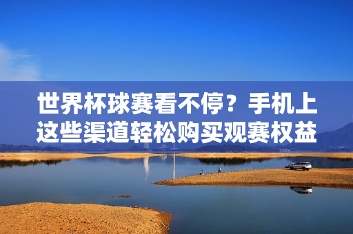 世界杯球赛看不停?手机上这些渠道轻松购买观赛权益,手机轻松购世界杯观赛权益