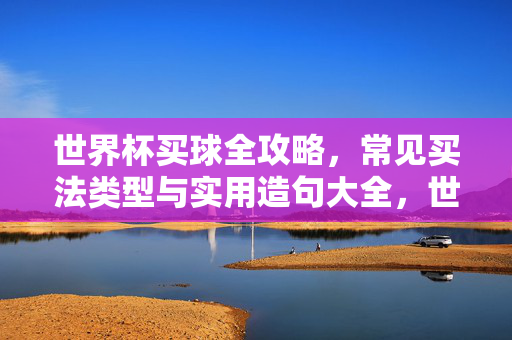 世界杯买球全攻略，常见买法类型与实用造句大全，世界杯买球全攻略，常见买法类型与实用造句大全