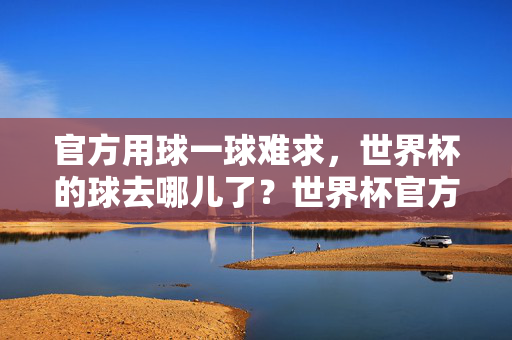 官方用球一球难求，世界杯的球去哪儿了？世界杯官方用球为何一球难求？