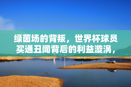 绿茵场的背叛，世界杯球员买通丑闻背后的利益漩涡，世界杯球员买通丑闻，绿茵场背叛与利益漩涡