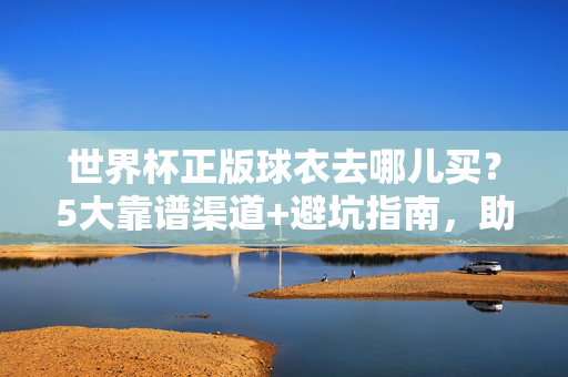 世界杯正版球衣去哪儿买?5大靠谱渠道+避坑指南,助你轻松入手心仪战袍,世界杯正版球衣购买攻略,5大靠谱渠道+避坑指南,轻松入手心仪战袍