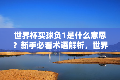 世界杯买球负1是什么意思?新手必看术语解析,世界杯买球负1是什么意思?新手术语解析