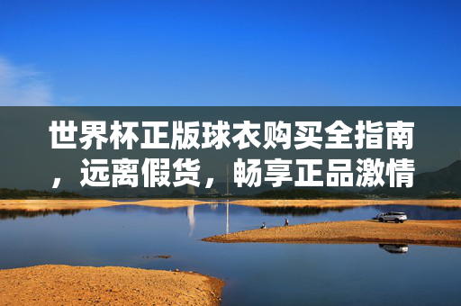 世界杯正版球衣购买全指南,远离假货,畅享正品激情,世界杯正版球衣购买全指南,避坑正品,畅享激情