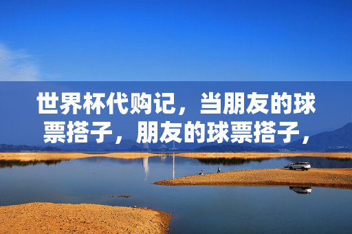 世界杯代购记，当朋友的球票搭子，朋友的球票搭子，世界杯代购记