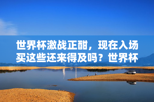 世界杯激战正酣,现在入场买这些还来得及吗?世界杯激战正酣,入场买这些还来得及吗?