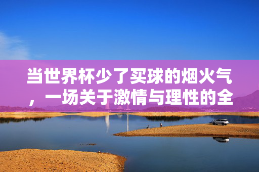 当世界杯少了买球的烟火气，一场关于激情与理性的全民对话，世界杯买球烟火气散，全民对话激情与理性