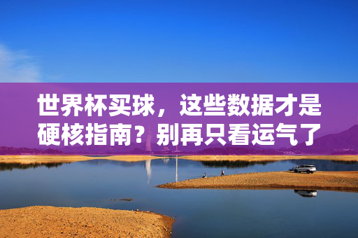 世界杯买球,这些数据才是硬核指南?别再只看运气了!世界杯买球,数据才是硬核指南,别再只看运气!