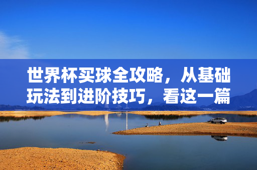 世界杯买球全攻略，从基础玩法到进阶技巧，看这一篇就够了，世界杯买球全攻略，从基础玩法到进阶技巧，一篇就够了