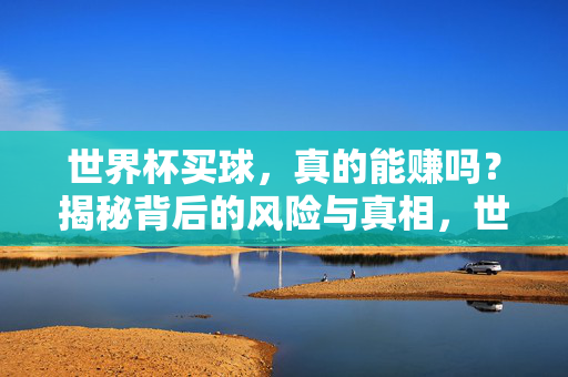 世界杯买球,真的能赚吗?揭秘背后的风险与真相,世界杯买球,盈利的真相与风险