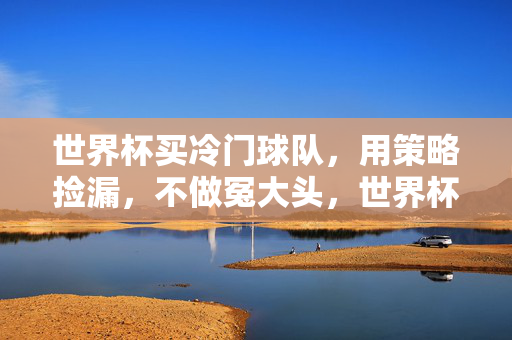 世界杯买冷门球队,用策略捡漏,不做冤大头,世界杯冷门策略,捡漏买球不做冤大头