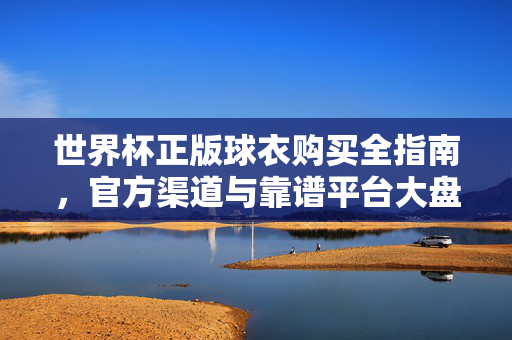 世界杯正版球衣购买全指南，官方渠道与靠谱平台大盘点，世界杯正版球衣购买全指南，官方渠道与靠谱平台大盘点
