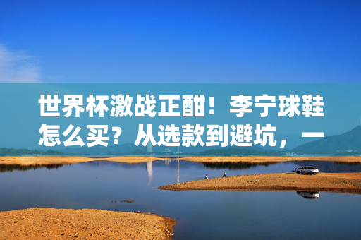 世界杯激战正酣!李宁球鞋怎么买?从选款到避坑,一篇搞定,世界杯激战正酣!李宁球鞋购买指南,选款避坑一篇搞定
