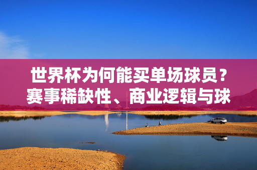 世界杯为何能买单场球员？赛事稀缺性、商业逻辑与球员价值的共振，世界杯买单场球员，赛事稀缺性、商业逻辑与球员价值的共振