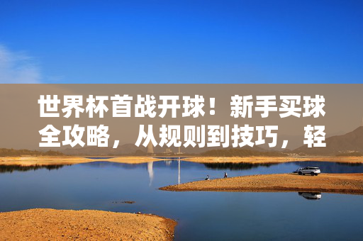 世界杯首战开球！新手买球全攻略，从规则到技巧，轻松上手，世界杯首战开球，新手买球全攻略，规则到技巧轻松上手