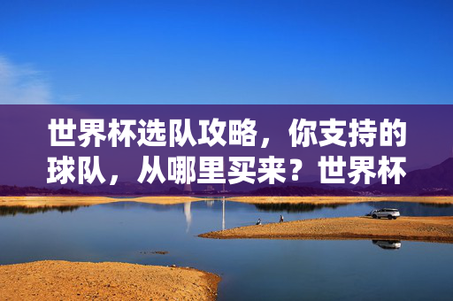 世界杯选队攻略，你支持的球队，从哪里买来？世界杯选队攻略，支持球队，购买指南